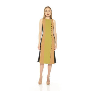 Alexia Admor Women's Anna Sleeveless Colorblock Maxi Dress Size‎ S